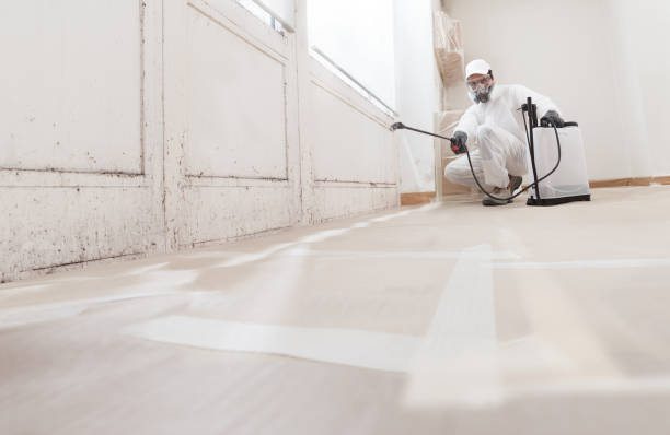 24/7 Emergency Mold Remediation experts in Groveland, FL